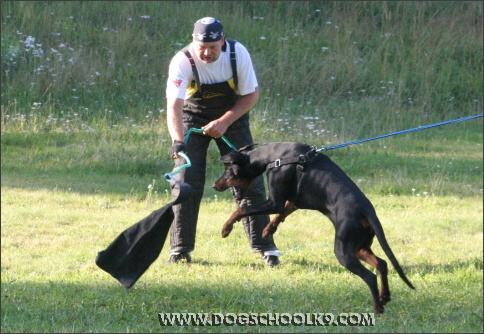 Summer training camp in Finland 2007